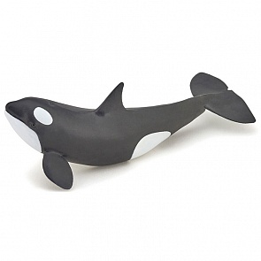 Фигурка - Детеныш косатки, 12 х 5 х 4 см. (Papo, 56040)